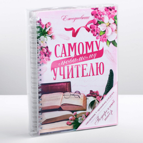 

Подарочный набор "Самому любимому учителю": ежедневник и органайзер для ручек