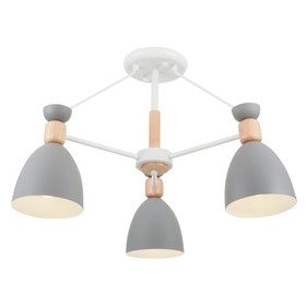 

Люстра Delia 3x60Вт E27 белый