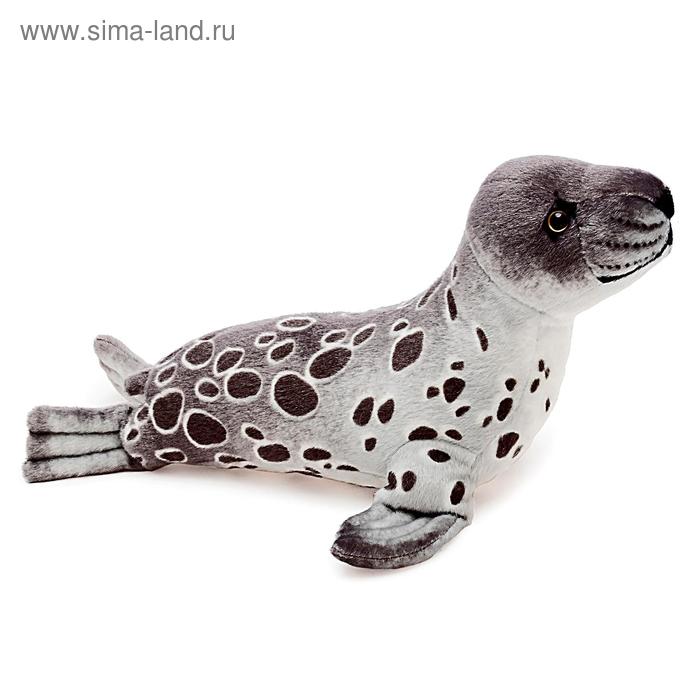 Мягкая игрушка «Тюлень Кроха S», 35 см, цвет серый
