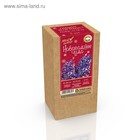 Гиацинт новогодний "Blue Magic", в коробке, р-р 14/15, 3 шт