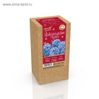 Гиацинт новогодний "Sky Jacket", в коробке, р-р 14/15, 3 шт