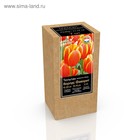 Крафт-коробка Тюльпан дарвинов гибрид Worlds Favourite, р-р 11/12, 7 шт