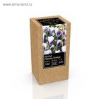 Крафт-коробка Крокус chrysanthus Prins Claus, р-р 5/+, 10 шт