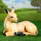 Садовая фигура "Косуля №1", бежевый цвет, 26 см - Фото 5