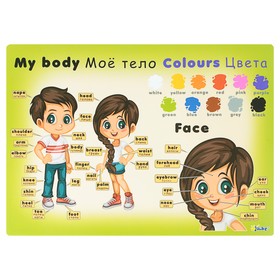 

Накладка на стол пластиковая, А3, Обучающая, 460 х 330 мм, 500 мкм «Английский язык Тело и Цвета», КН-3