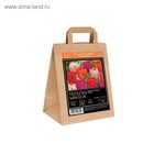 Коллекция Тюльпан дарвинов гибрид Van Eijk микс, р-р 11/12, 7 шт