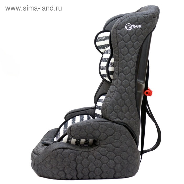 

Автокресло Rant Comix Story line LB513, группа 1-2-3 (9-36 кг), цвет graphite
