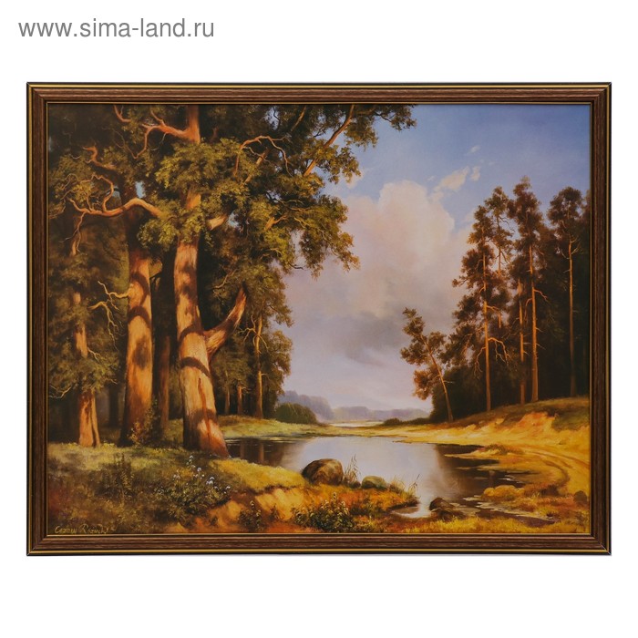 

Картина "Лесные сосны" 43х53 см