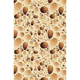 

Ковёр прямоугольный Laguna D485, размер 250 х 400 см, цвет cream