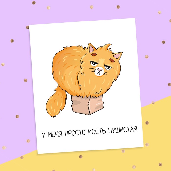 Картинки кость пушистая