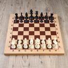 Фигуры шахматные пластиковые  (король h=9.7 см, пешка 4.2 см)