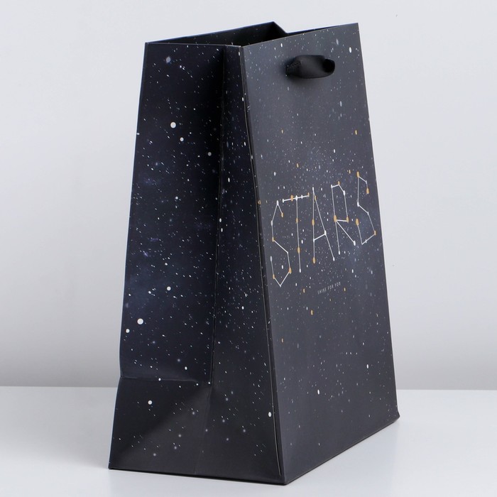 

Пакет подарочный вертикальный «Stars», MS 23 x 18 × 10 см