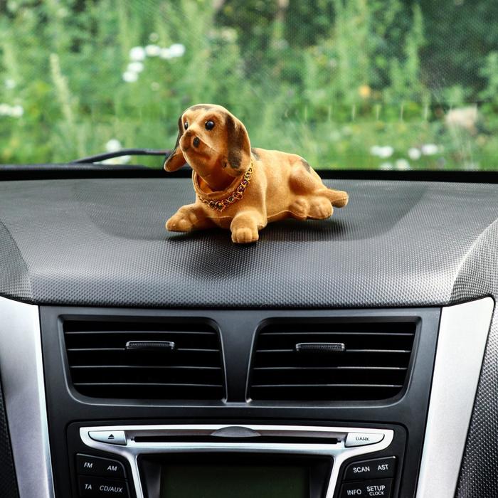Собака на панель авто, качающая головой, большая, бежевый окрас