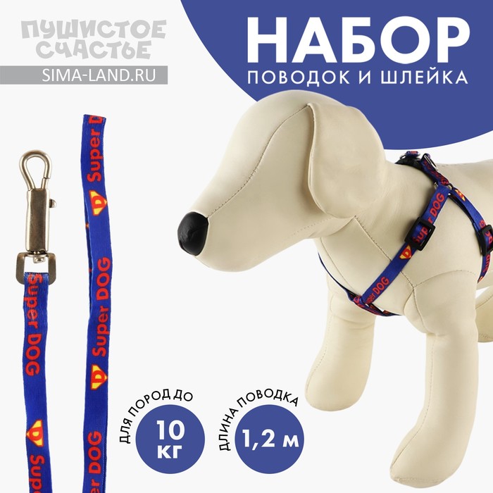 Комплект Super Dog, шлейка 26-39 см, поводок 120х1 см