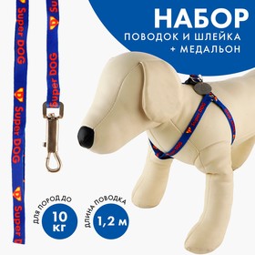 Комплект Super DOG, шлейка 26-39 см, поводок 120х1 см, медальон Ош