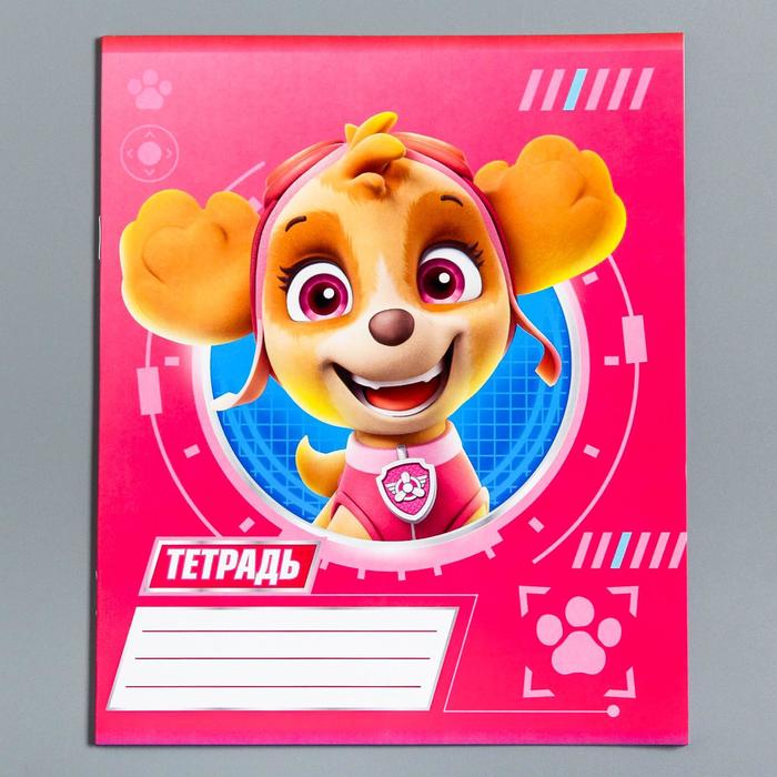 Тетрадь 12 листов клетка "Щенячий патруль", 5 видов МИКС, PAW Patrol