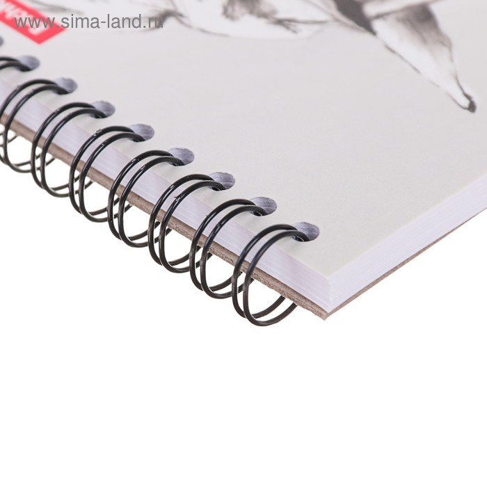 

Альбом для эскизов 170 х 170 мм, 40 листов на гребне Wild Horse, обложка мелованный картон 190 г/м2, жёсткая подложка, блок 120 г/м2