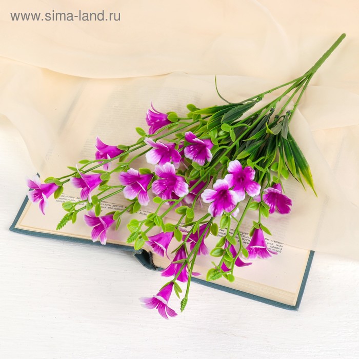 

Букет "Бровалия" 40 см, микс