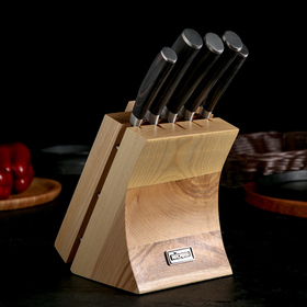 Набор кухонных ножей DANA, 5 шт: лезвие 9 см, 12,5 см, 17,5 см, 20 см, 20 см, универсальный блок с ножеточкой от Сима-ленд