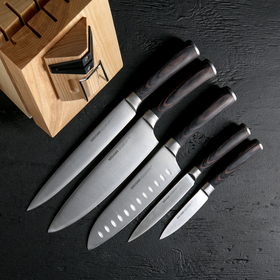 Набор кухонных ножей DANA, 5 шт: лезвие 9 см, 12,5 см, 17,5 см, 20 см, 20 см, универсальный блок с ножеточкой от Сима-ленд