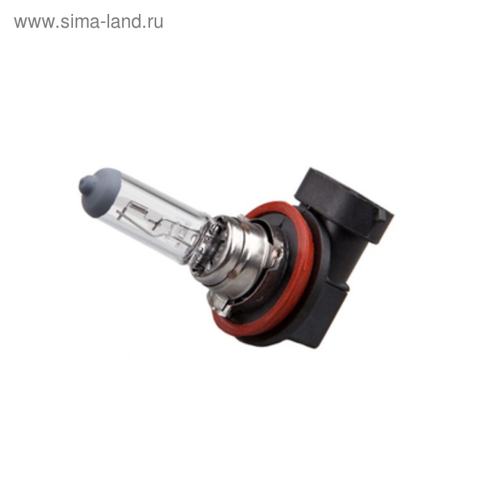 Лампа автомобильная Xenite Standart H11 (PGJ19-2) лампа автомобильная xenite standart hb3 9005 p20d