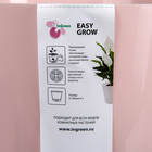 Кашпо с прикорневым поливом Easy Grow, 2 л, цвет английская роза - Фото 4