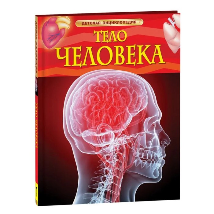 Детская энциклопедия «Тело человека» тело человека анатомия и физиология детская энциклопедия