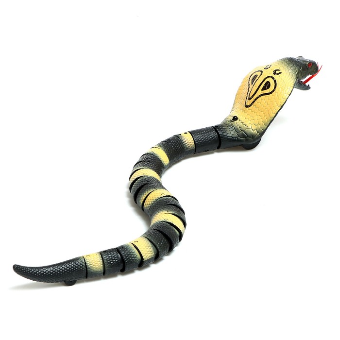 Змея радиоуправляемая «Королевская кобра», работает от аккумулятора, МИКС