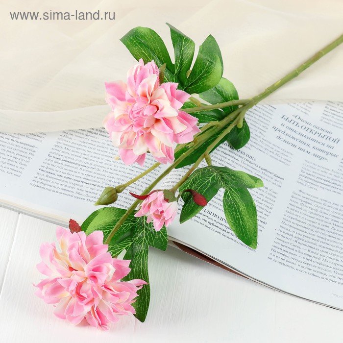 Садовые Цветы искусственные Хризантема ажурная 7*48 см, бело-розовый