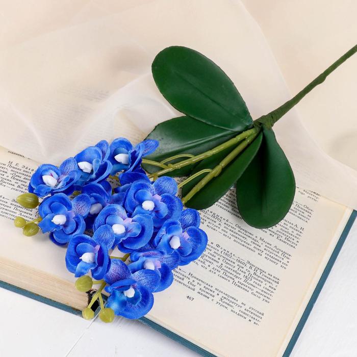 Цветы искусственные Орхидея королевская 3,5х28 см, синий
