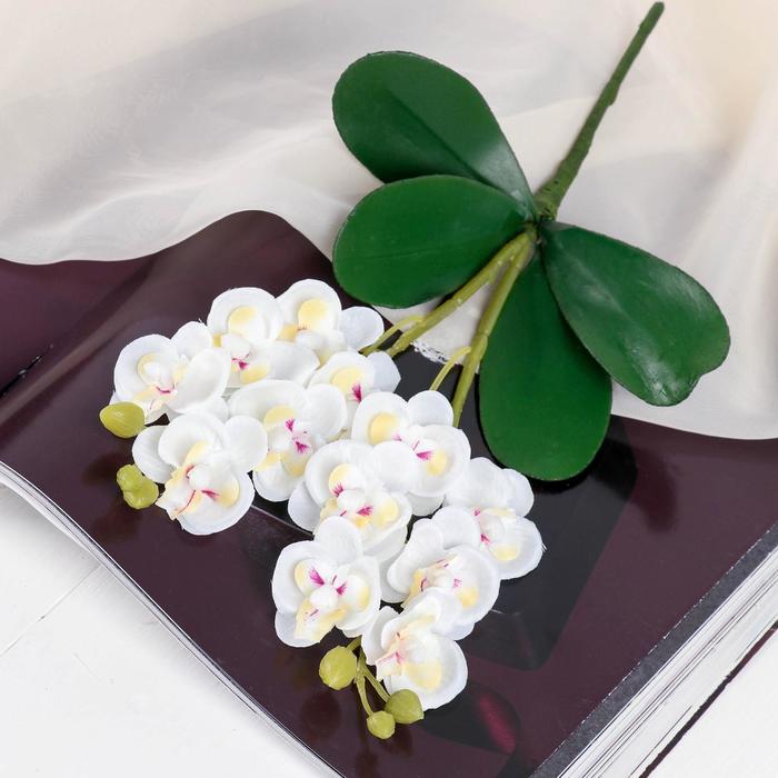 Цветы искусственные Орхидея королевская 3,5х28 см, белый
