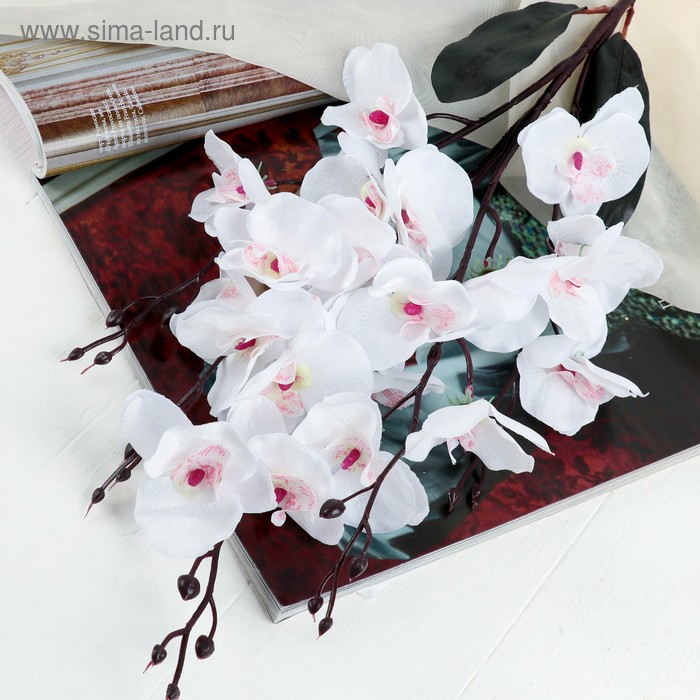 Цветы искусственные Орхидея фаленопсис 8х80 см, белый цветы искусственные орхидея фаленопсис мультифлора 6х37 см жёлтый