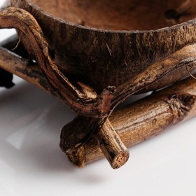 

Кашпо «Кокос», двойное, 17×30×8 см, кокос, дерево