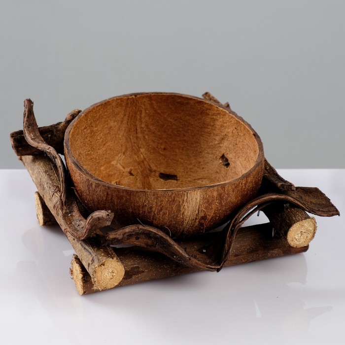 Кашпо «Кокос», 20×20×9 см, кокос, дерево