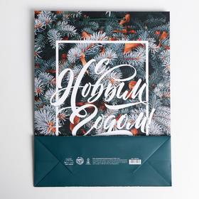 

Пакет ламинированный вертикальный «Новогодняя пора», L 31 × 40 × 9 см
