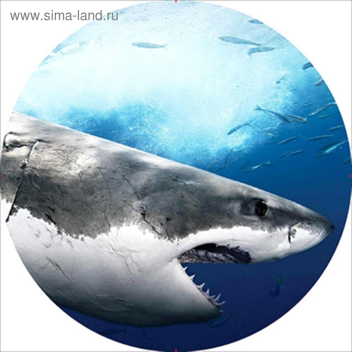 фото Чехол запасного колеса акула r16, 17 диаметр 77см skyway экокожа