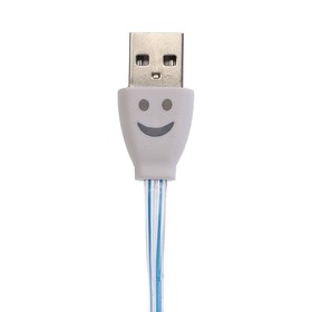 

Кабель LuazON, microUSB - USB, 1 А, 1 м, плоский светящийся кабель, белый-синий