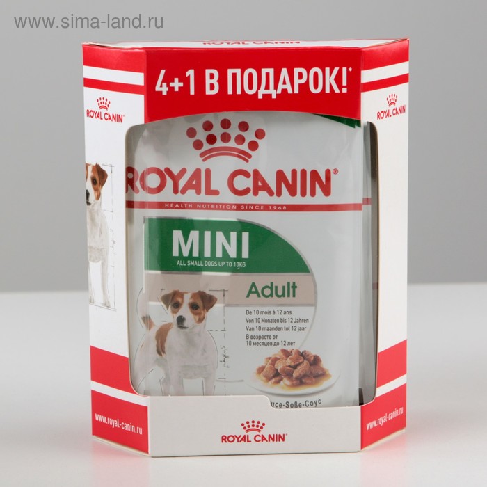 Влажный корм для собак royal canin. Роял Канин мини Эдалт влажный корм. Влажный корм для собак Royal Canin Mini Adult, для мелких пород, мясо, 85г. Royal Canin для щенков мелких пород влажный. Royal Canin Mini Puppy, для мелких пород, мясо, 85.