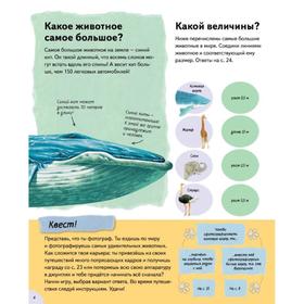 

Книжка с наклейками «Животные такие разные»