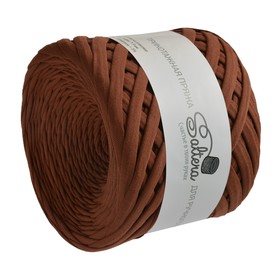 

Пряжа трикотажная широкая "Saltera" 100м/300гр, ширина 7-9 мм (59 корица)