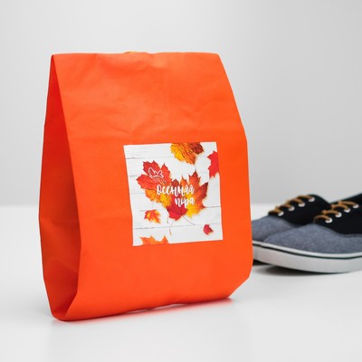 Мешок для обуви "Осенняя пора"