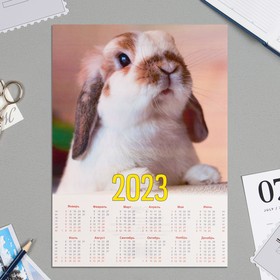 Календарь листовой А4 'Символ года - 2023 - 1' Ош