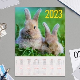 Календарь листовой А4 'Символ года - 2023 - 5' Ош