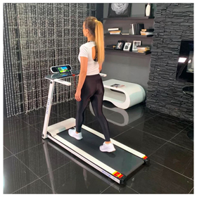 

Беговая дорожка EVO Fitness VECTOR II