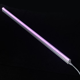 Фитосветильник светодиодный Luazon, 10 Вт, 600 мм, IP20, 220 В, мультиспектральный Ош