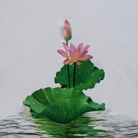 

Штора для ванной комнаты Доляна «Лотос», 180×180 см, EVA