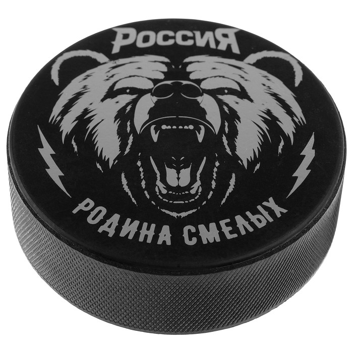 

Шайба хоккейная Winter Star «Россия», взрослая, d=7,5 см