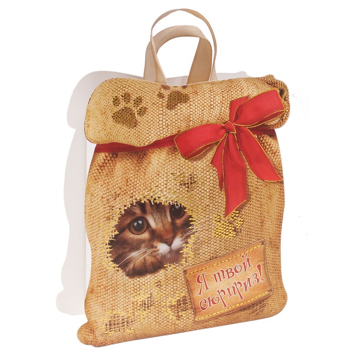 Пакет открытка с тиснением «Я твой сюрприз», фактура