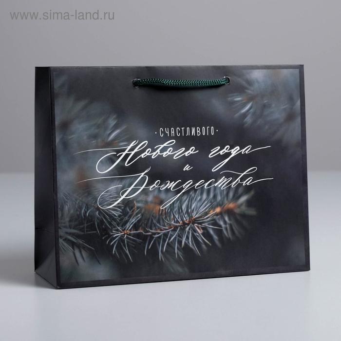 

Пакет ламинированный горизонтальный «Счастливого Рождества», MS 23 × 18 × 8 см