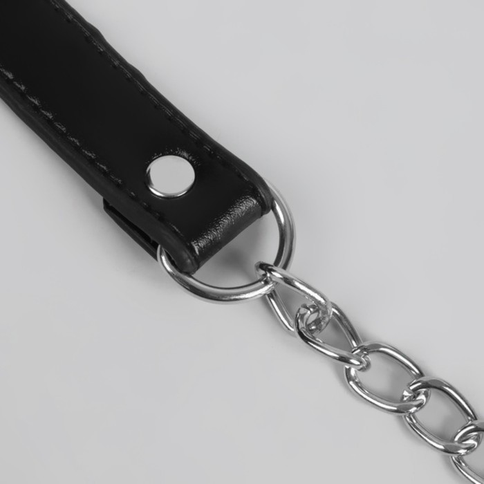 Ручка для сумки, с цепочками и карабинами, 120 × 1,8 см, цвет чёрный